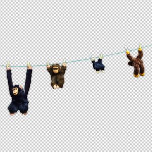 国产精品多人P群无码
